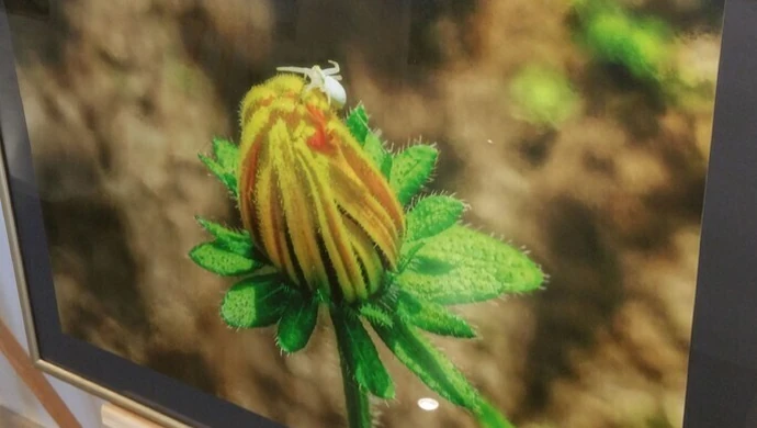 "Chwile" Aleksandry Fidziańskiej