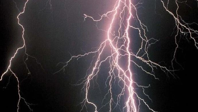 Piorun zabił krowy. Kto pomoże mieszkańcom Milejowa? 