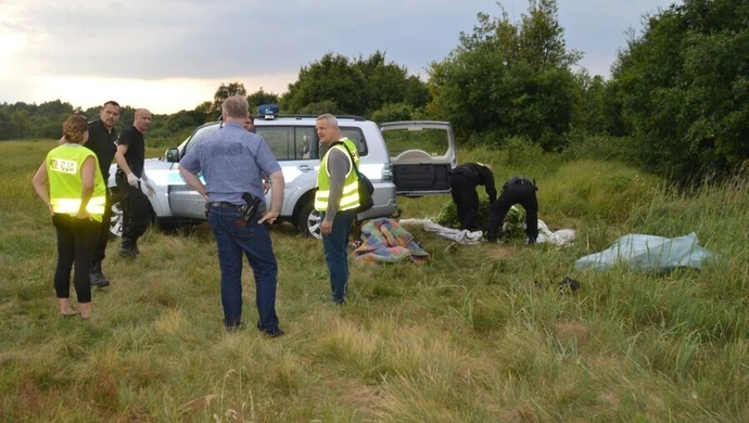 Zlikwidowano ukryte w lesie plantacje konopi 