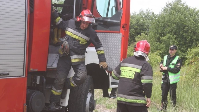 W sprawie owadów do strażaków, w sprawie barszczu do urzędu 