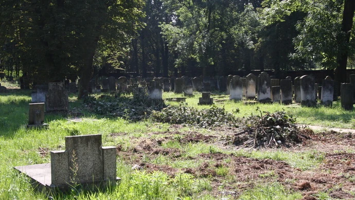 Prace porządkowe przy cmentarzu żydowskim