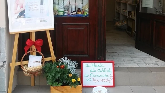 "Łyk wody dla pupila", czyli gdzie twój zwierzak może napić się wody