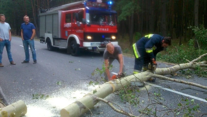 Drzewo spadło na samochód 