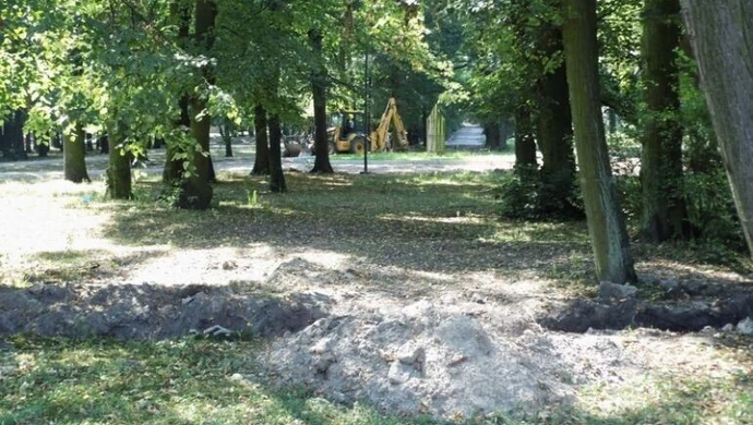 Czy psy wejdą do parku? 