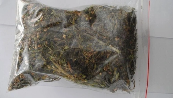 Znalazła sporą ilość marihuany, zaniosła na policję 