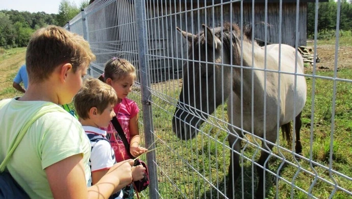 Ze świetlicy w plener... 