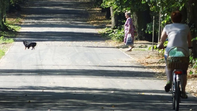 W środę radni zdecydują, czy psy wejdą do parku 