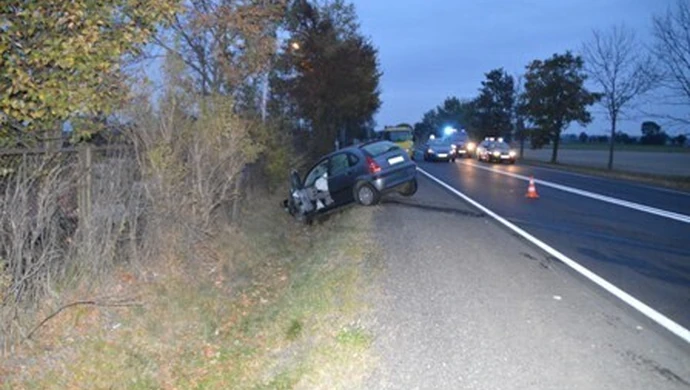 Wypadek na drodze Piotrków-Bełchatów. Jedna osoba nie żyje 
