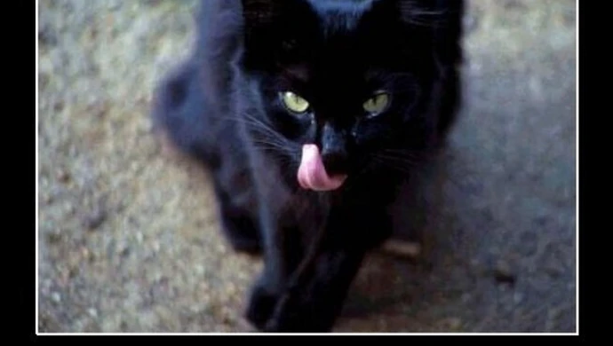 Kto z nas cierpi na paraskewidekatriafobię?