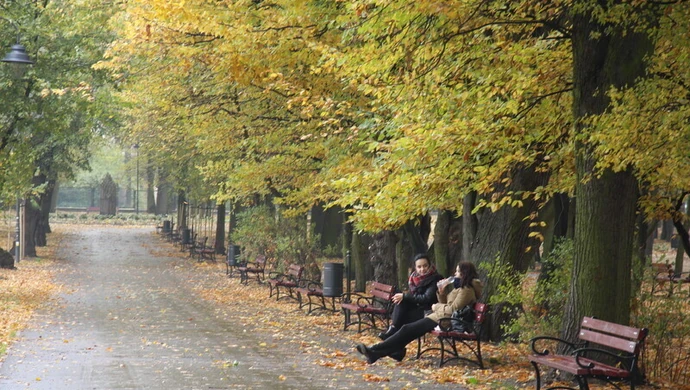 Co z toaletami w naszych parkach? 