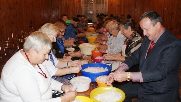 Pierze na poduchę już udarte