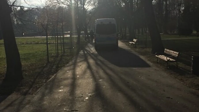 Radiowozy jeżdżą po parkowych alejkach 