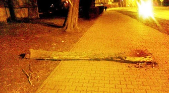 Stan zieleni wymaga interwencji?