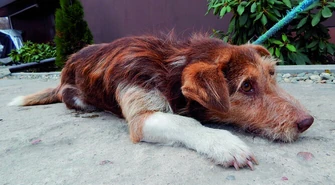 Znajdź przyjaciela na całe życie!