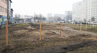 Al. Armii Krajowej: Wycięli drzewa, będą budować 