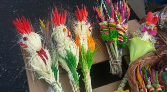 Dziś Niedziela Palmowa