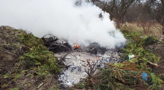 Za wiosenne porządki możesz zapłacić mandat