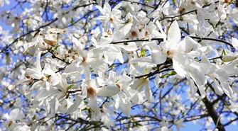 Sobota i niedziela będą znakomite. Potem ochłodzenie