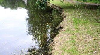 Masz stare zdjęcia parku? Zanieś je do Urzędu! 