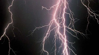 Piorun zabił krowy. Kto pomoże mieszkańcom Milejowa? 