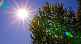 Pierwszy tydzień wakacji bez upałów. Sprawdź prognozę pogody dla Piotrkowa! 