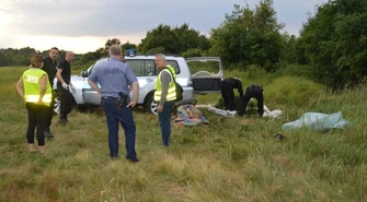 Zlikwidowano ukryte w lesie plantacje konopi 
