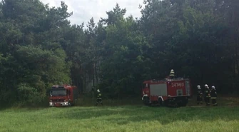Pożary lasów w Siomkach i Adamowie