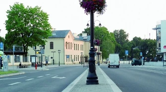 W Piotrkowie za mało zieleni? 