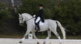 Bogusławice ponownie stolicą parajeździectwa