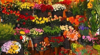 Ranking najlepszych kwiaciarni