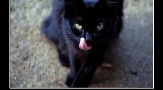 Kto z nas cierpi na paraskewidekatriafobię?