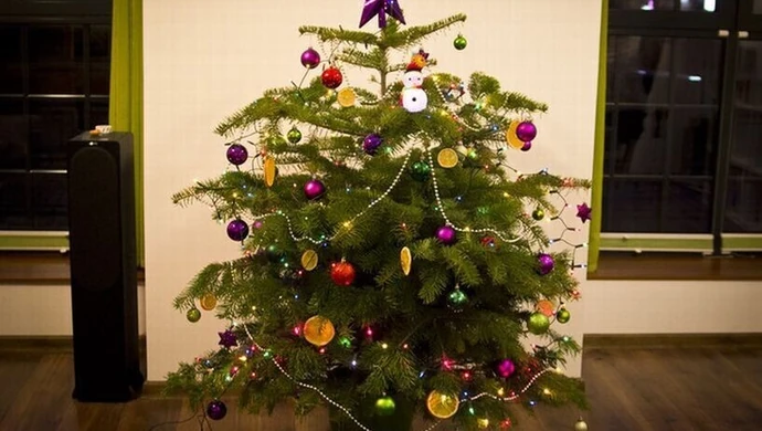 Co zrobić z choinką? 