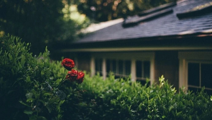 Ustawne mieszkanie, czyli jakie?