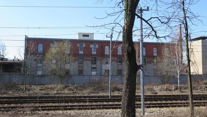 PKP PLK chcą nam wyciąć 20 drzew