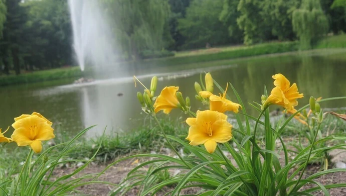 W niedzielę świętujemy 100-lecie parku w Piotrkowie