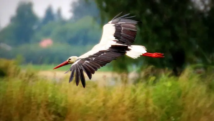Piękno powiatu w obiektywie - rusza konkurs fotograficzny