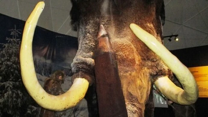 Dzieci z Piotrkowa w Jaskini Raj 