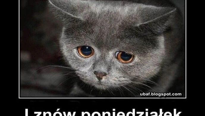 Nie lubię poniedziałku! Jak mieszkańcy województwa łódzkiego radzą sobie ze stresem?