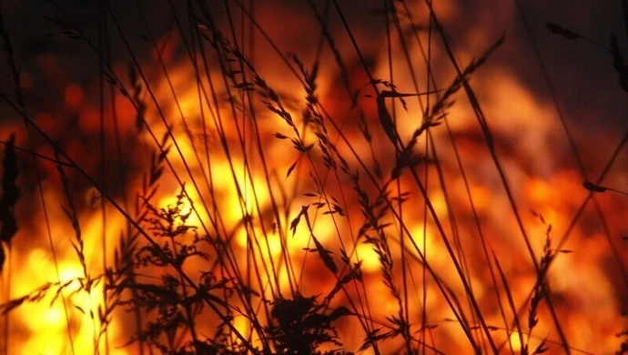 Podpalał, bo lubił patrzeć na ogień 