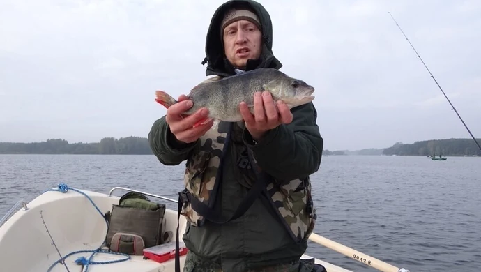 Złowili 13 szczupaków i 76 okoni 