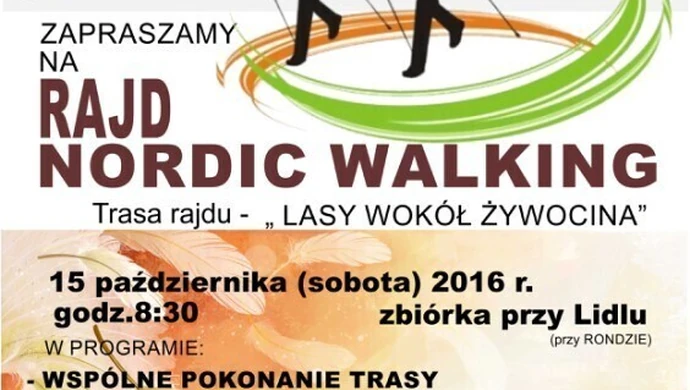 Nordic walking w lasach wokół Żywocina
