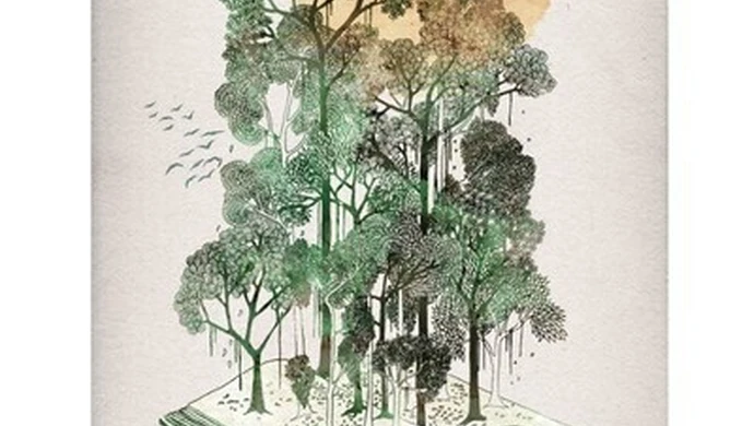 Wezmą na warsztat las 