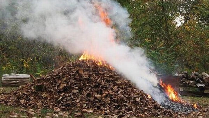 Nie pal liści na działce 