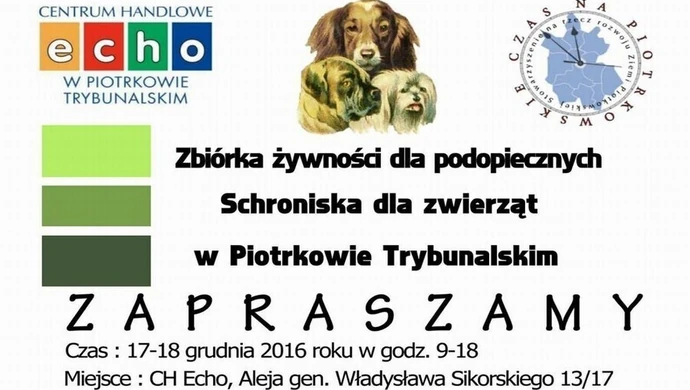 Podaruj prezent bezdomnym zwierzętom