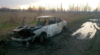 Można wyczesać psa, można pasać krowy...