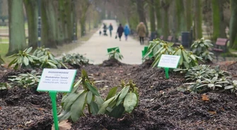 Zostało kilka dni do wiosny