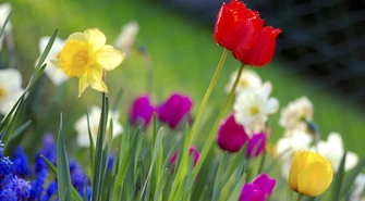 Nie daj się przesileniu wiosennemu!