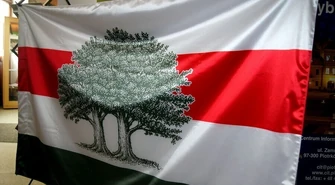 Flaga Dni Przyjaźni Polsko-Węgierskiej już w Piotrkowie