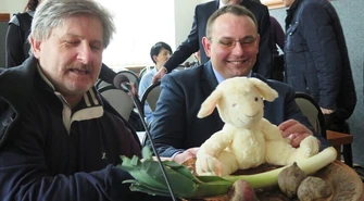 Buraki, pory i jeden baran na sesji Rady Miasta w Piotrkowie 