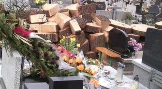 Awantura o drzewo na cmentarzu